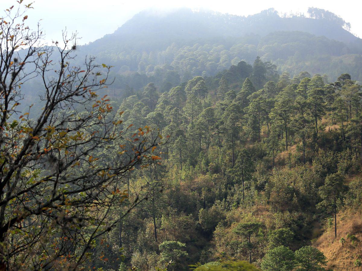 Triquilapa, lugar de ensueño cerca de la capital donde se respira nuevos aires