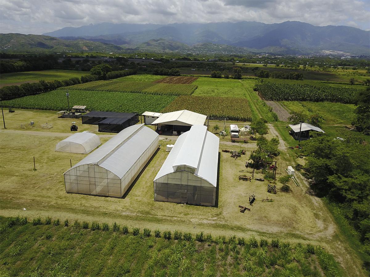 <i>La Expo Honduras Agrícola 2024 promoverá el uso de enmiendas orgánicas y bioinsumos en las principales cosechas del país, incluyendo frijol y maíz.</i>