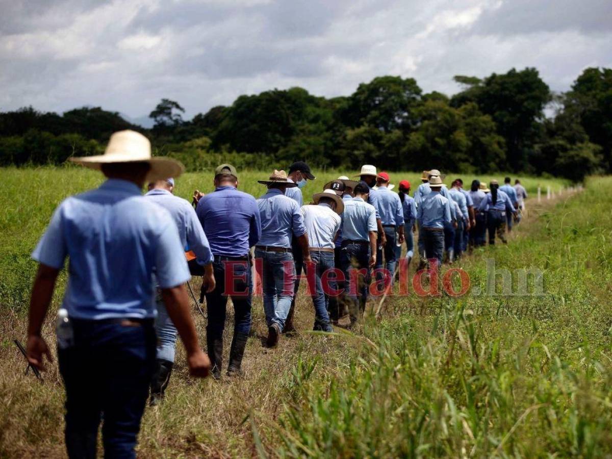 Rector Wilmer Reyes: Intervención de la Unag es un mal precedente