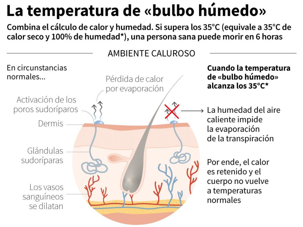 El aumento se desprende de dos efectos de El Niño: precipitaciones no habituales y temperaturas más elevadas.