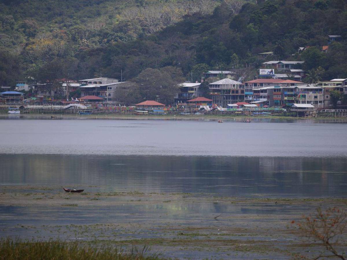 Unos 11,300 empleos se perderían en acuicultura del Lago de Yojoa con suspensión de licencias