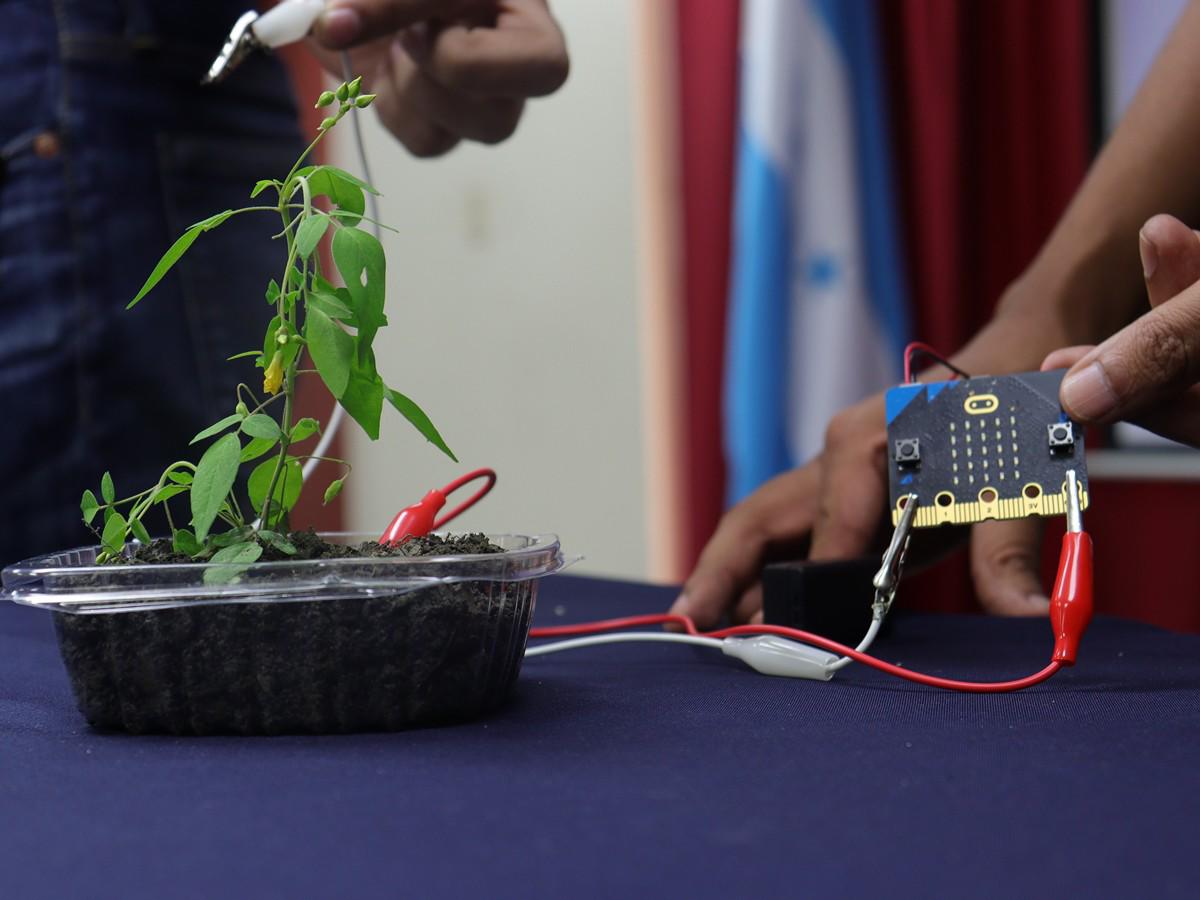 Algunos de los proyectos que los participantes lograron elaborar durante el taller.