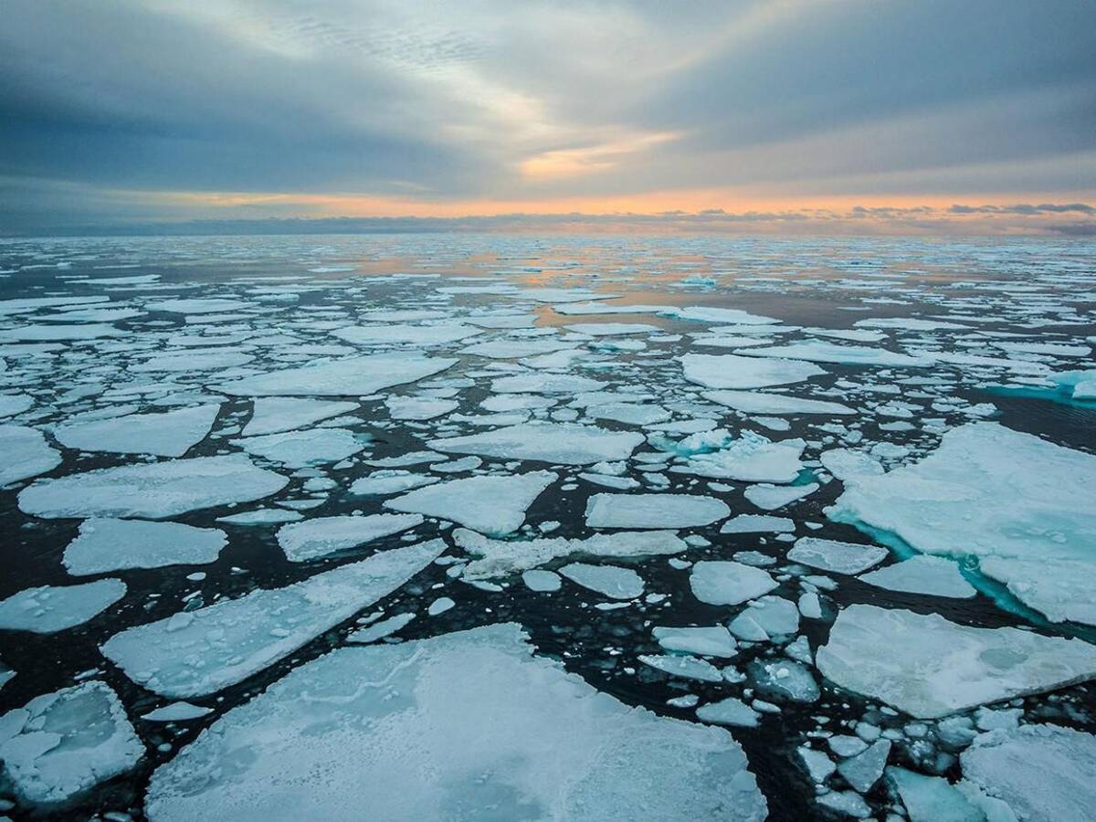 El Polo Norte a punto de quedarse sin hielo: en dos años podría derretirse  por completo