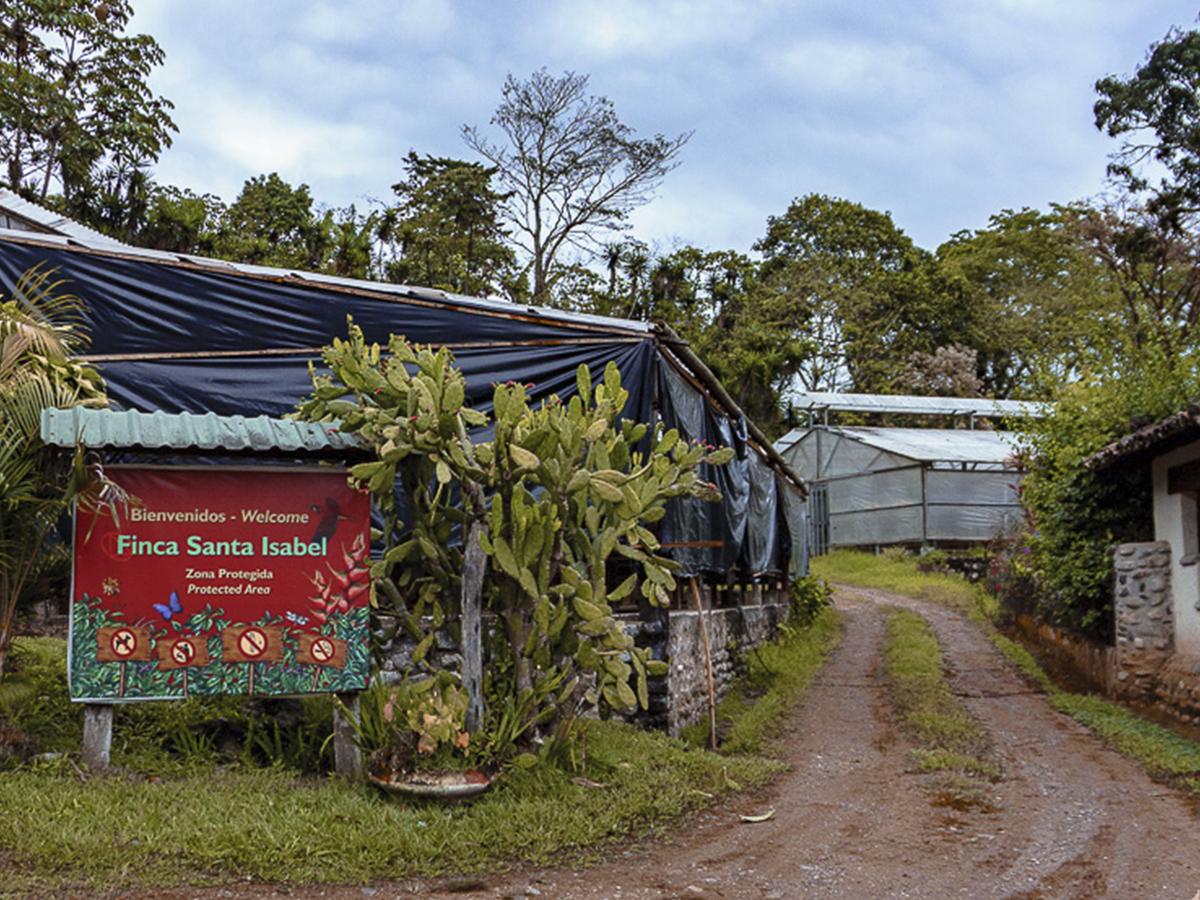 <i>Explora los senderos de Finca Santa Isabel, donde el café se convierte en un patrimonio cultural.</i>