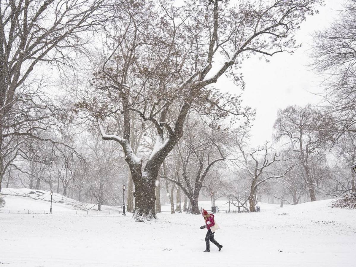 Tormenta de nieve en EUA deja impresionantes imágenes en Nueva York