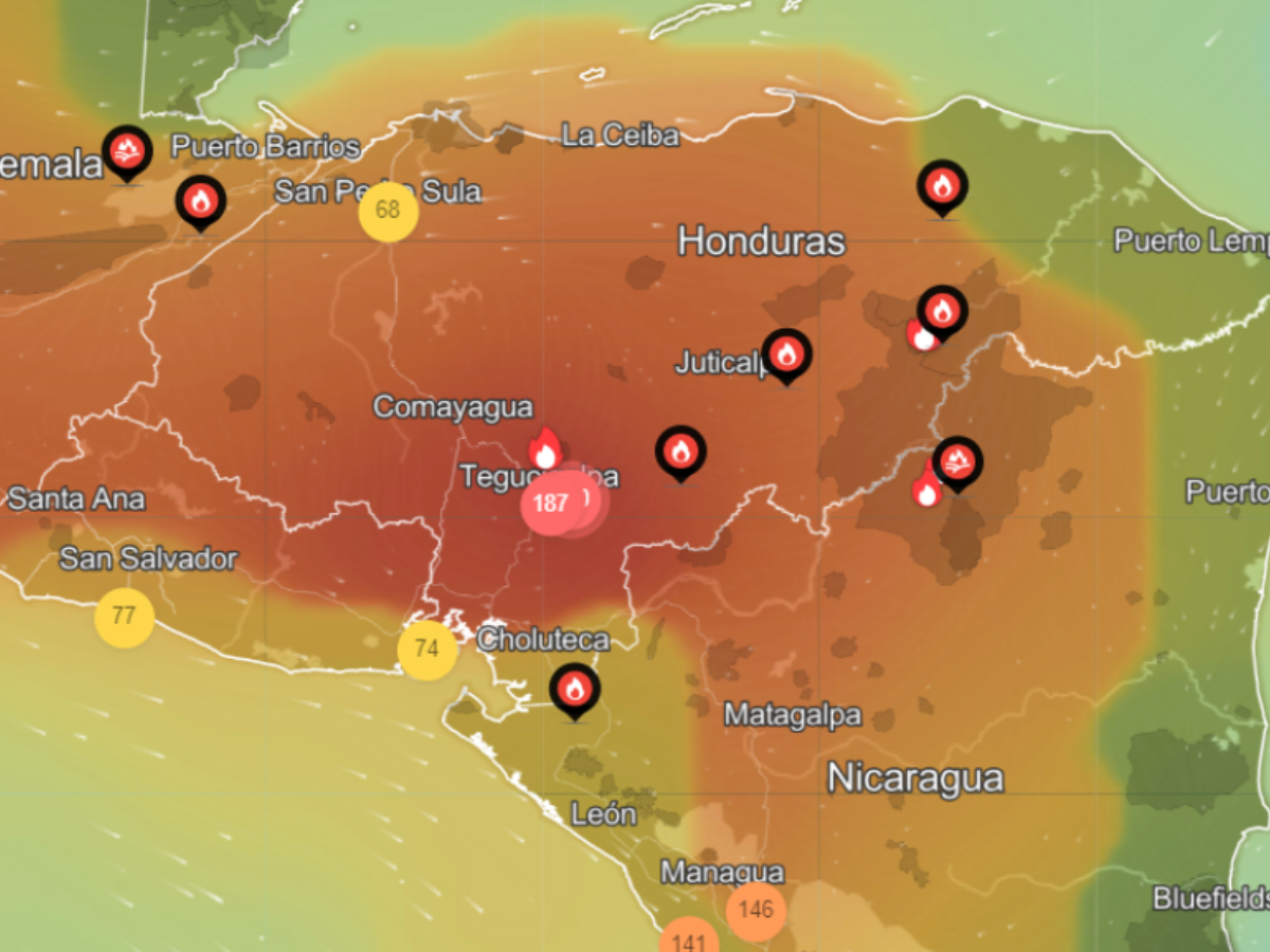 Imagen actual del país tras la ola de incendios registrados en los primeros meses del año.