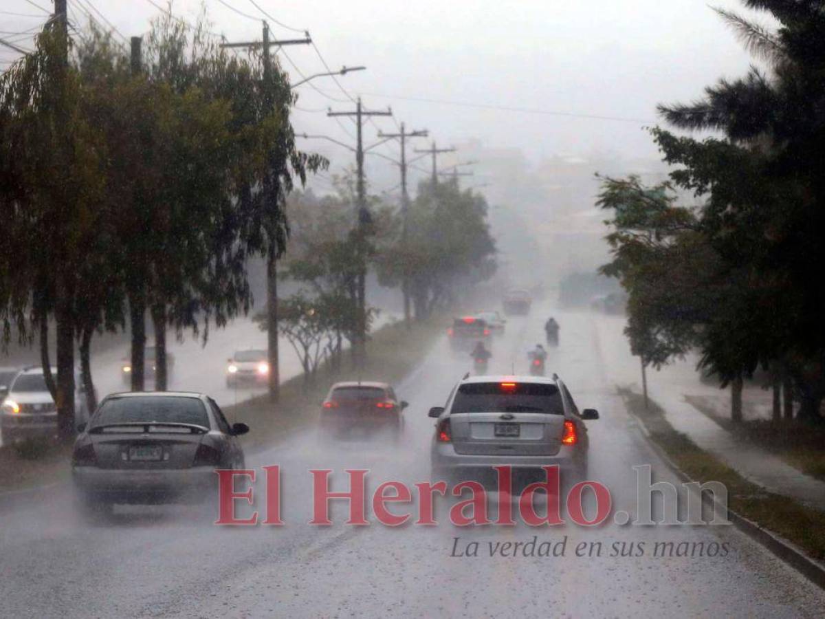 Tormenta tropical Julia se convertirá en huracán la noche de este sábado