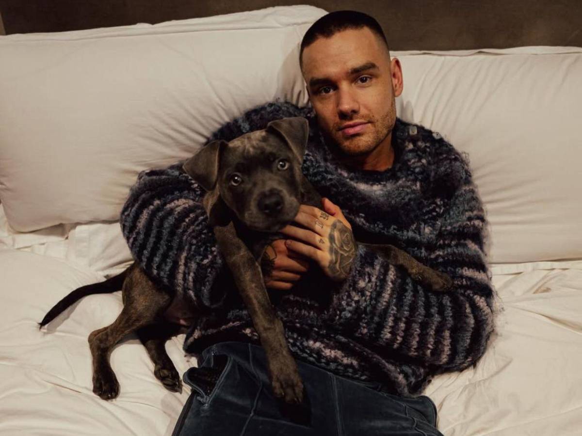 Revelan detalles de la condición psicológica de Liam Payne