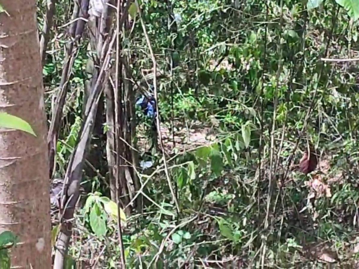 Atado y carbonizado encuentran cadáver de hombre en Roatán