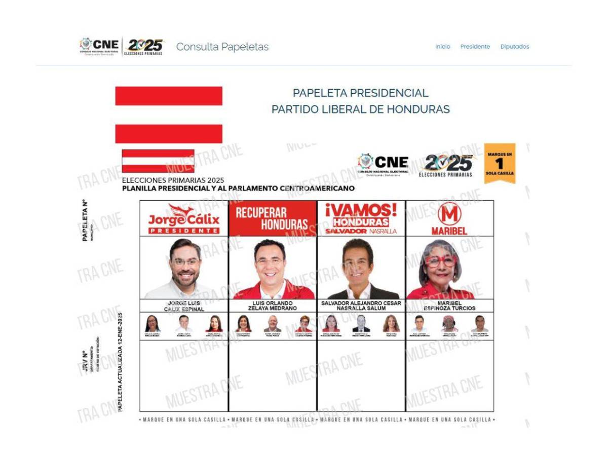 CNE muestra cómo lucen las papeletas para las elecciones primarias