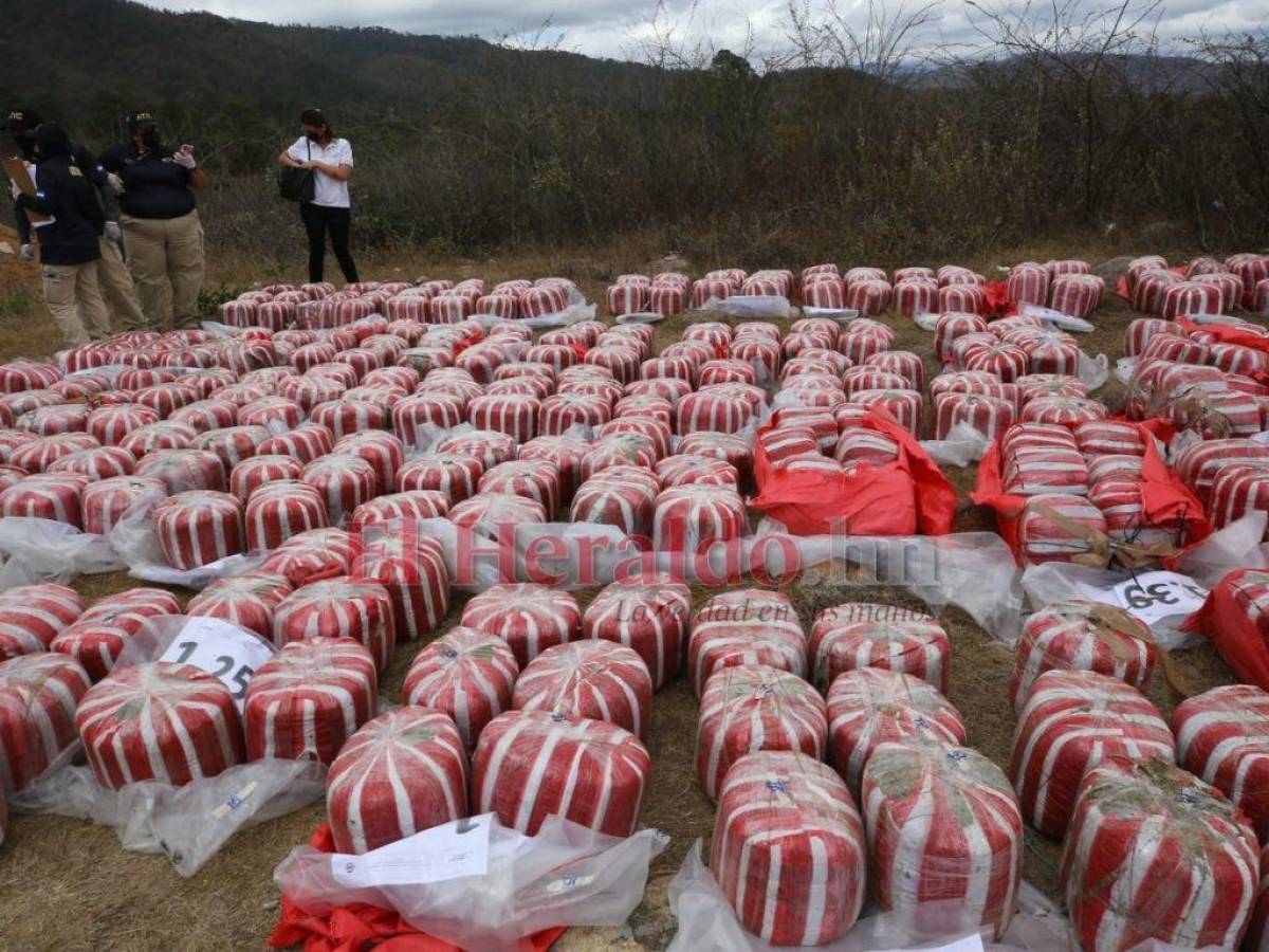 Todas estas bolsas de marihuana fueron quemadas en la capital.