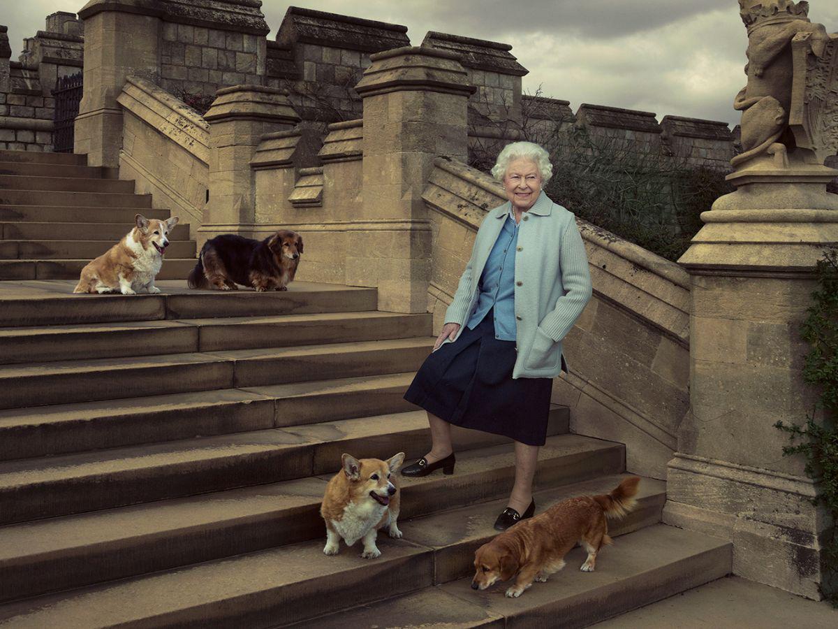 Los corgis de la difunta reina Isabel II serán los protagonistas de una exposición en Londres