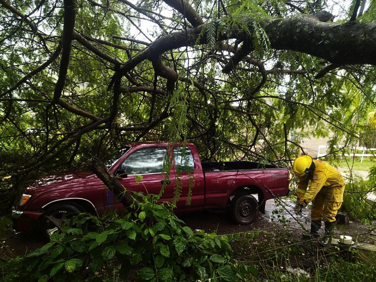 Tormenta Sara: Los rescates y albergados por inundaciones tras lluvias