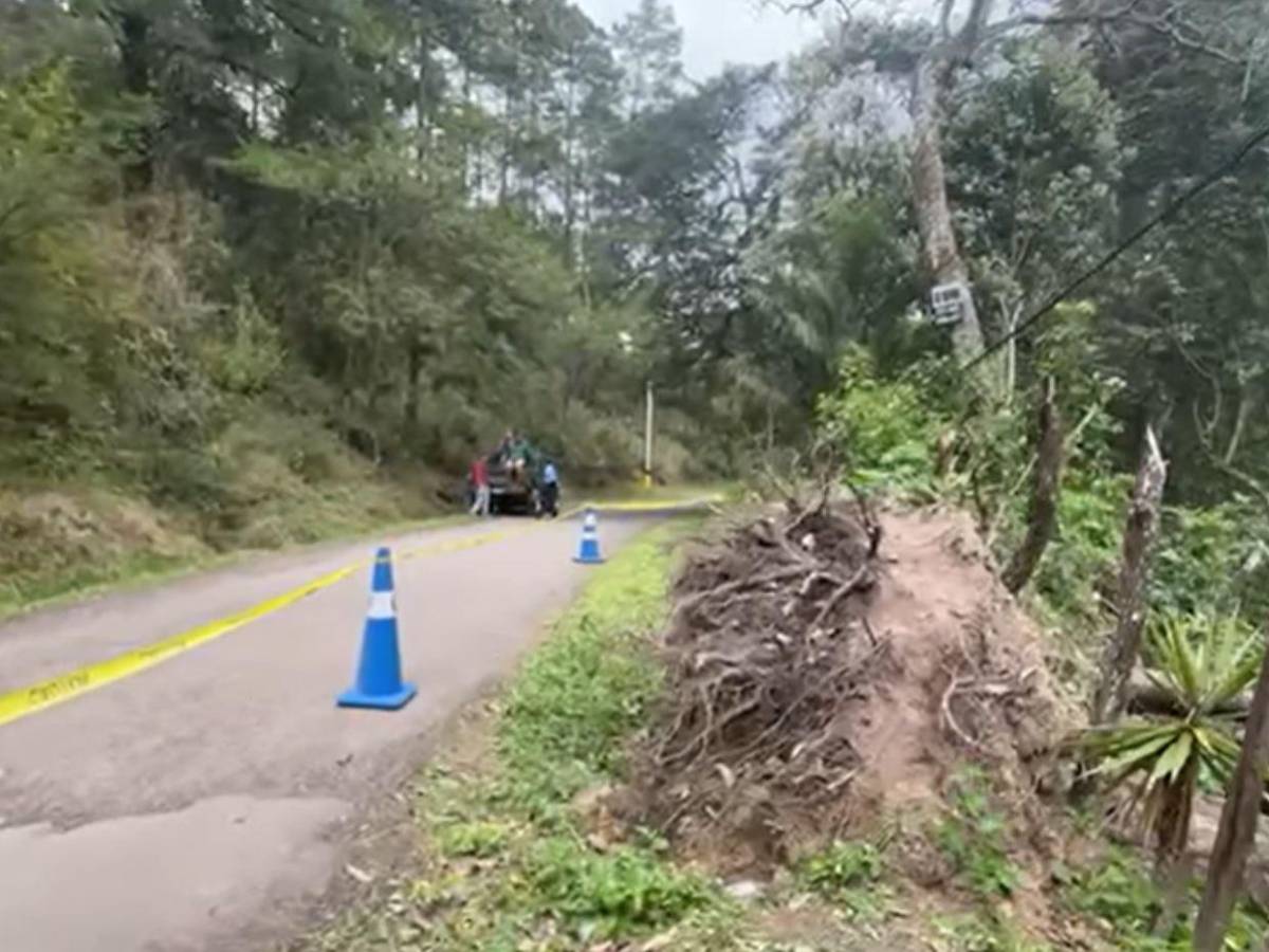 Sin piernas y amarrado: así fue encontrado cadáver en aldea Corralitos