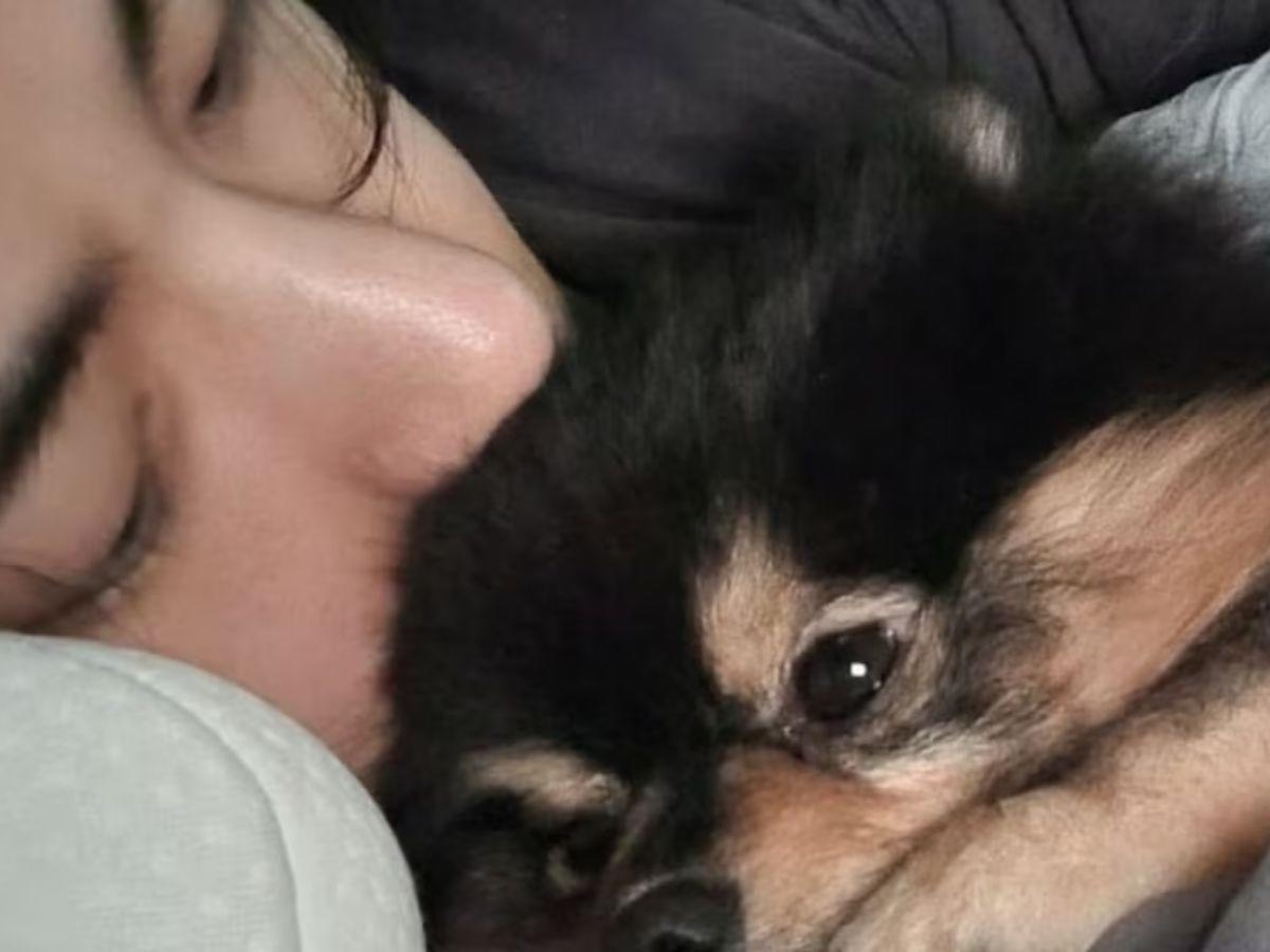 V de BTS se despide de su amigo fiel, Yeontan: “Se embarcó en un viaje hacia las estrellas”