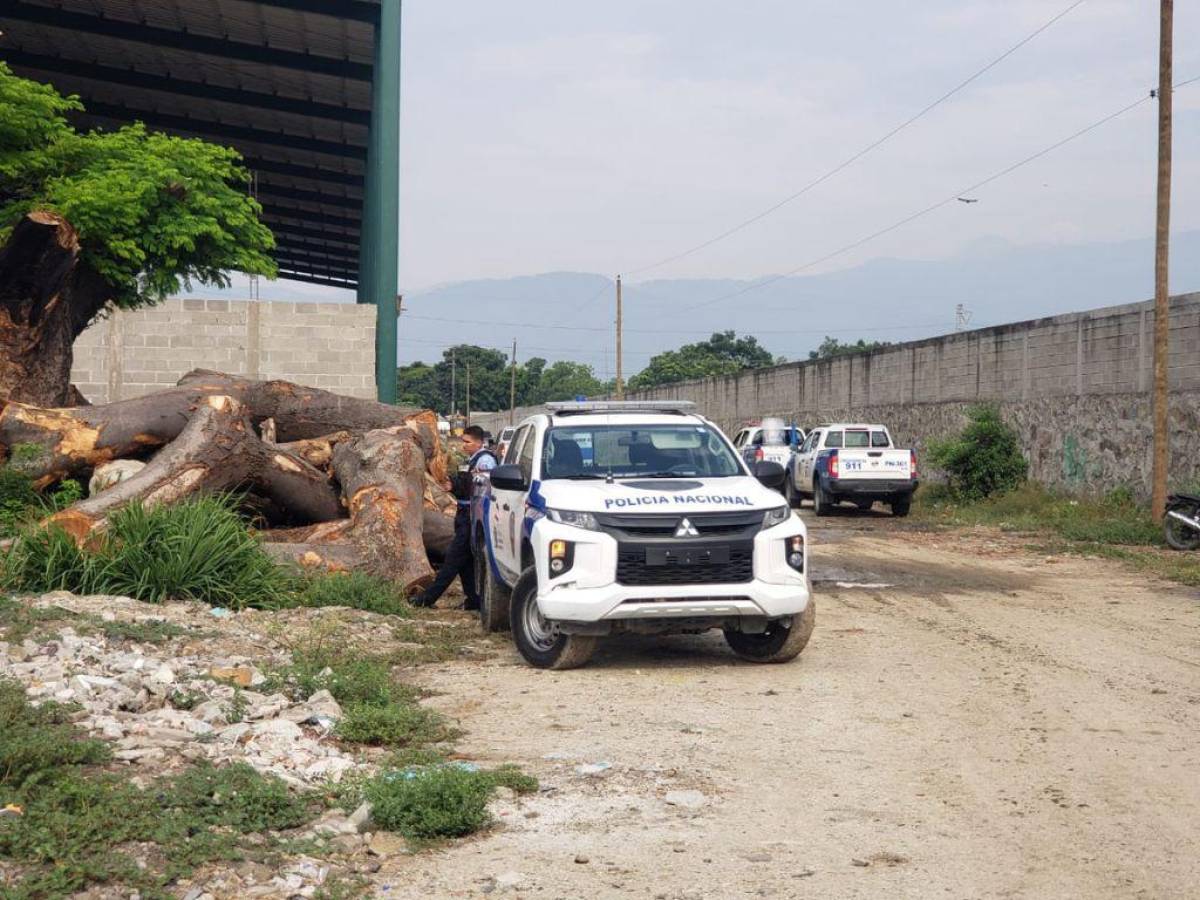 Suspenden desalojos en colonia Arenales de San Pedro Sula y dan plazo de dos días a pobladores