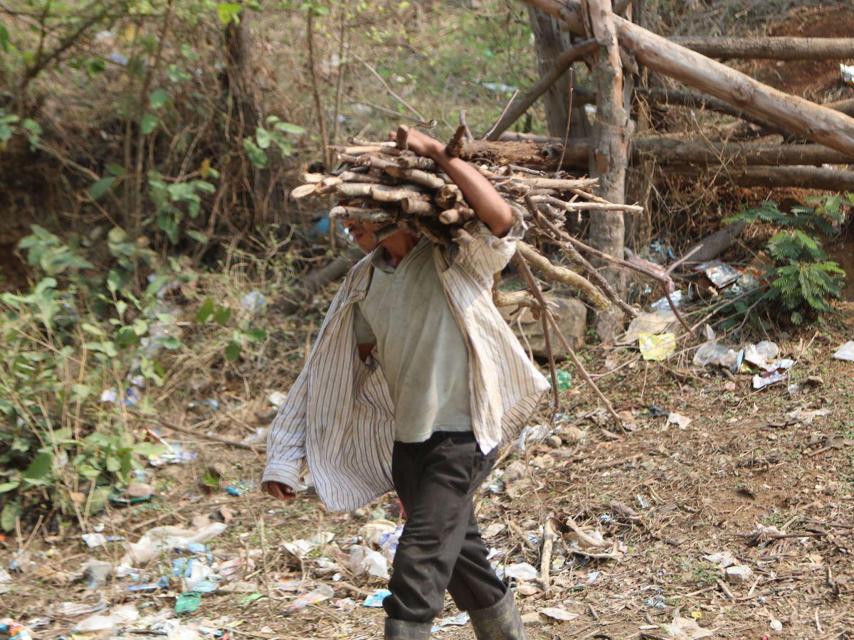 Los campesinos, a falta de cultivos, comienzan a trabajar de cargar leña.