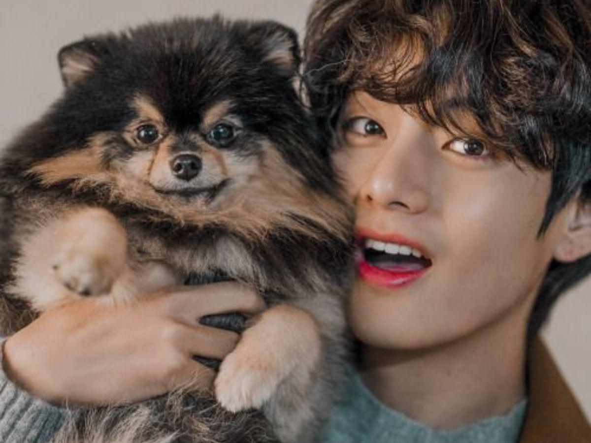 V de BTS se despide de su amigo fiel, Yeontan: “Se embarcó en un viaje hacia las estrellas”