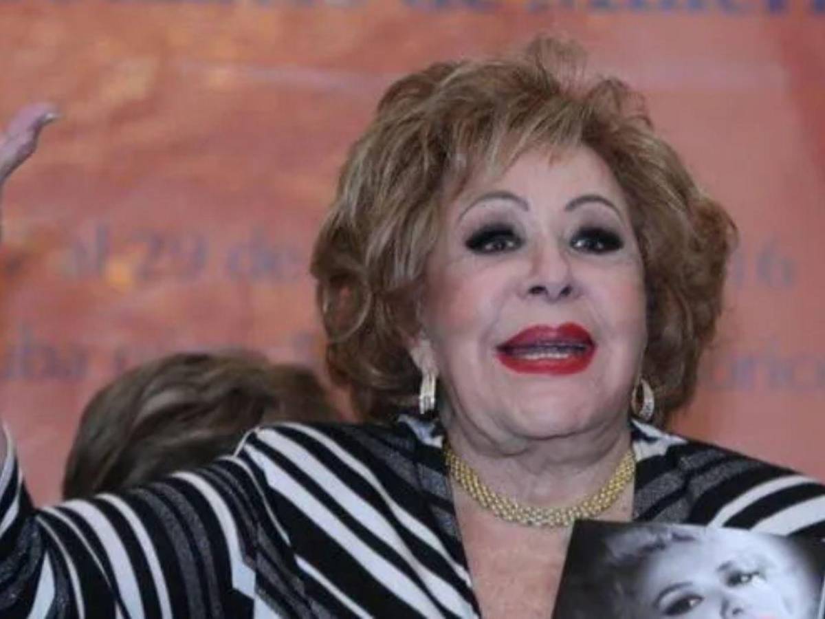 ¿Quiénes heredarán la fortuna de Silvia Pinal? Estos son los nombres que ella incluyó