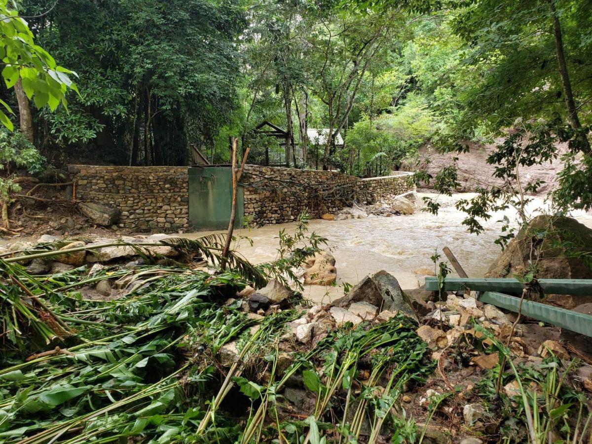 Las imágenes muestran el desastre que causaron las lluvias en el Parque de Aves.