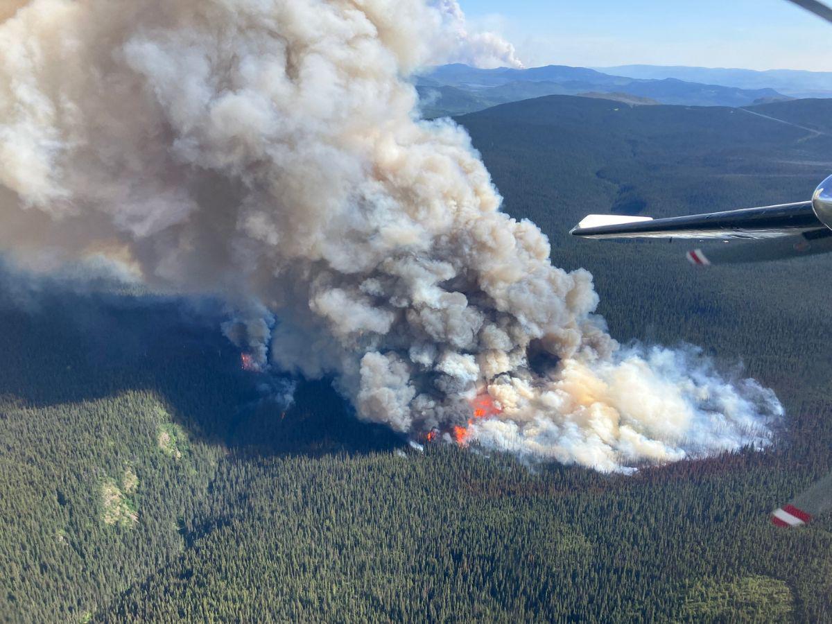Reportan más de 10 millones de hectáreas quemadas en Canadá por incendios forestales