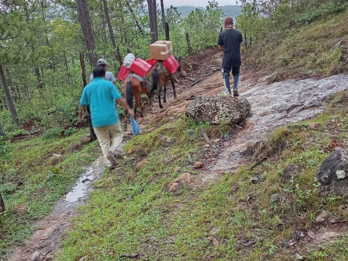 Maratón del Saber presente en la comunidad El Son, municipio de Lepaterique