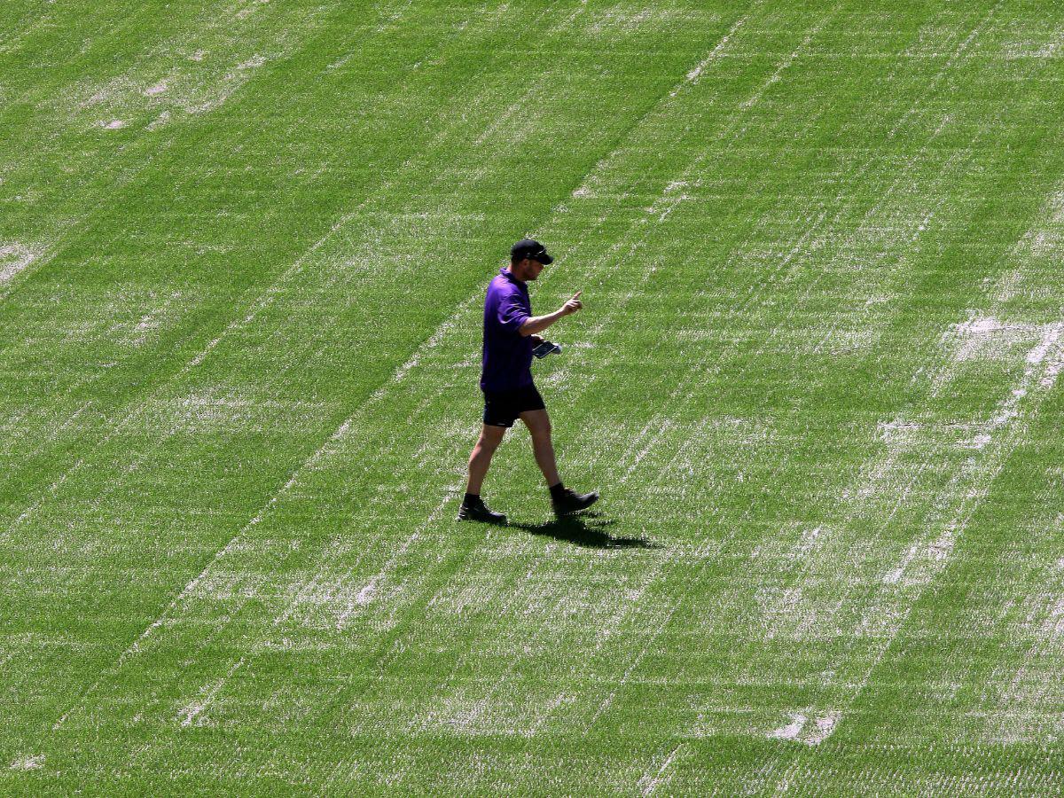 La cancha del Estadio Nacional podría convertirse en una de las mejores de Centroamérica una vez culminado el proyecto de cambio de grama.