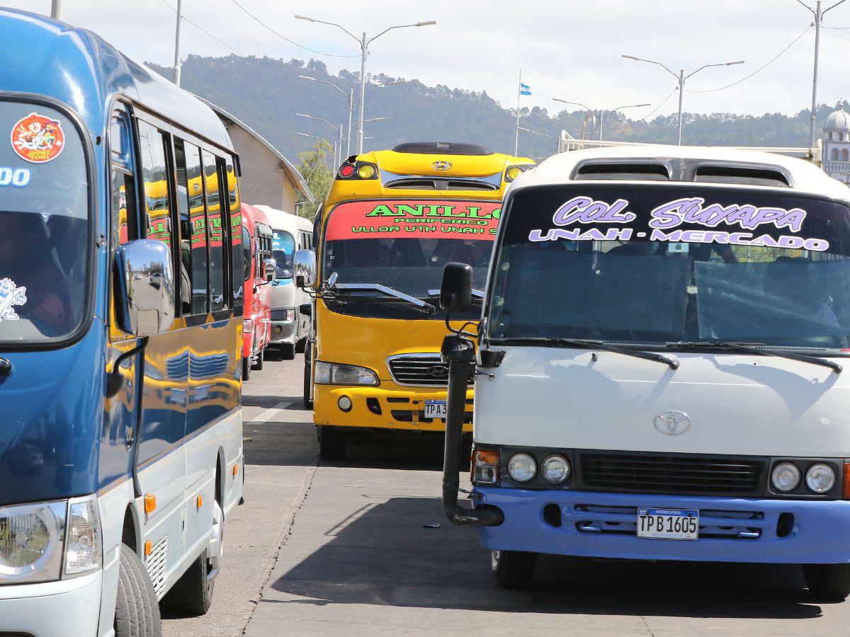 Conductores del transporte público no pasan filtros para operar buses