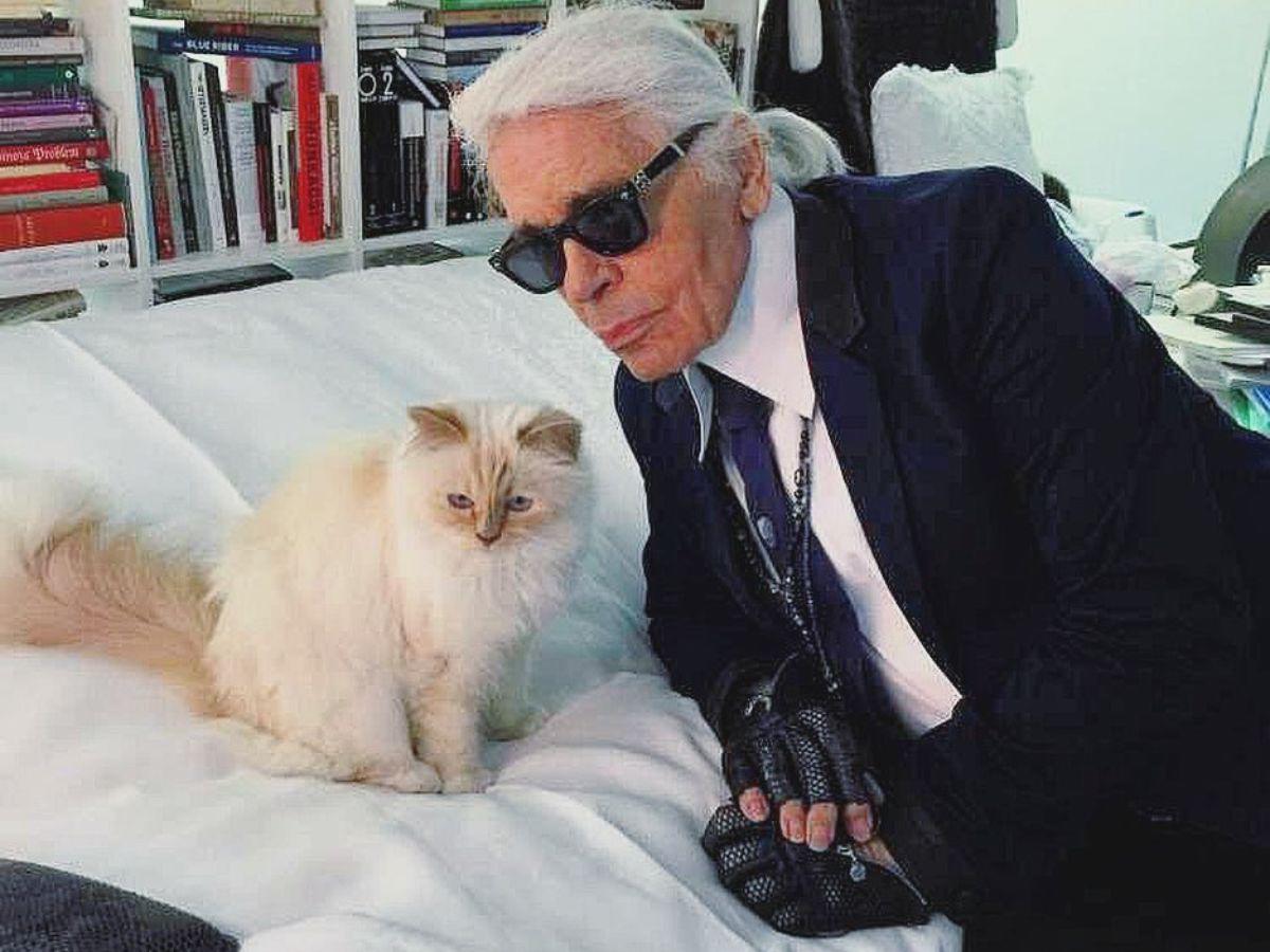 ¿Por qué Choupette no fue a la Met Gala en honor a Karl Lagerfield?