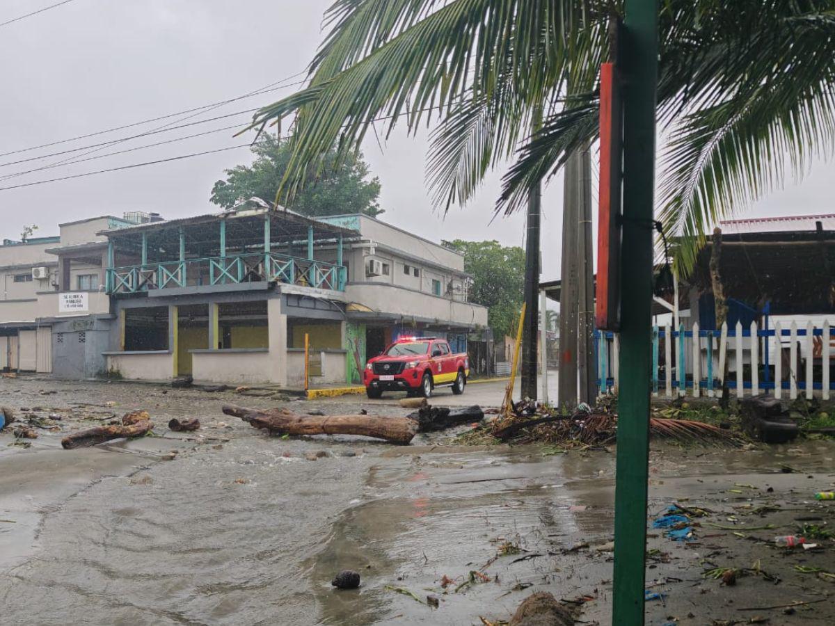 Los daños que ha dejado la tormenta Sara en la zona norte de Honduras