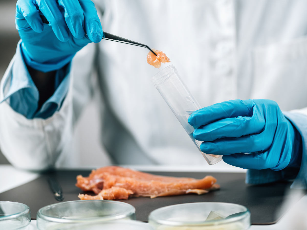 EEUU aprueba venta de carne de pollo creada en laboratorio