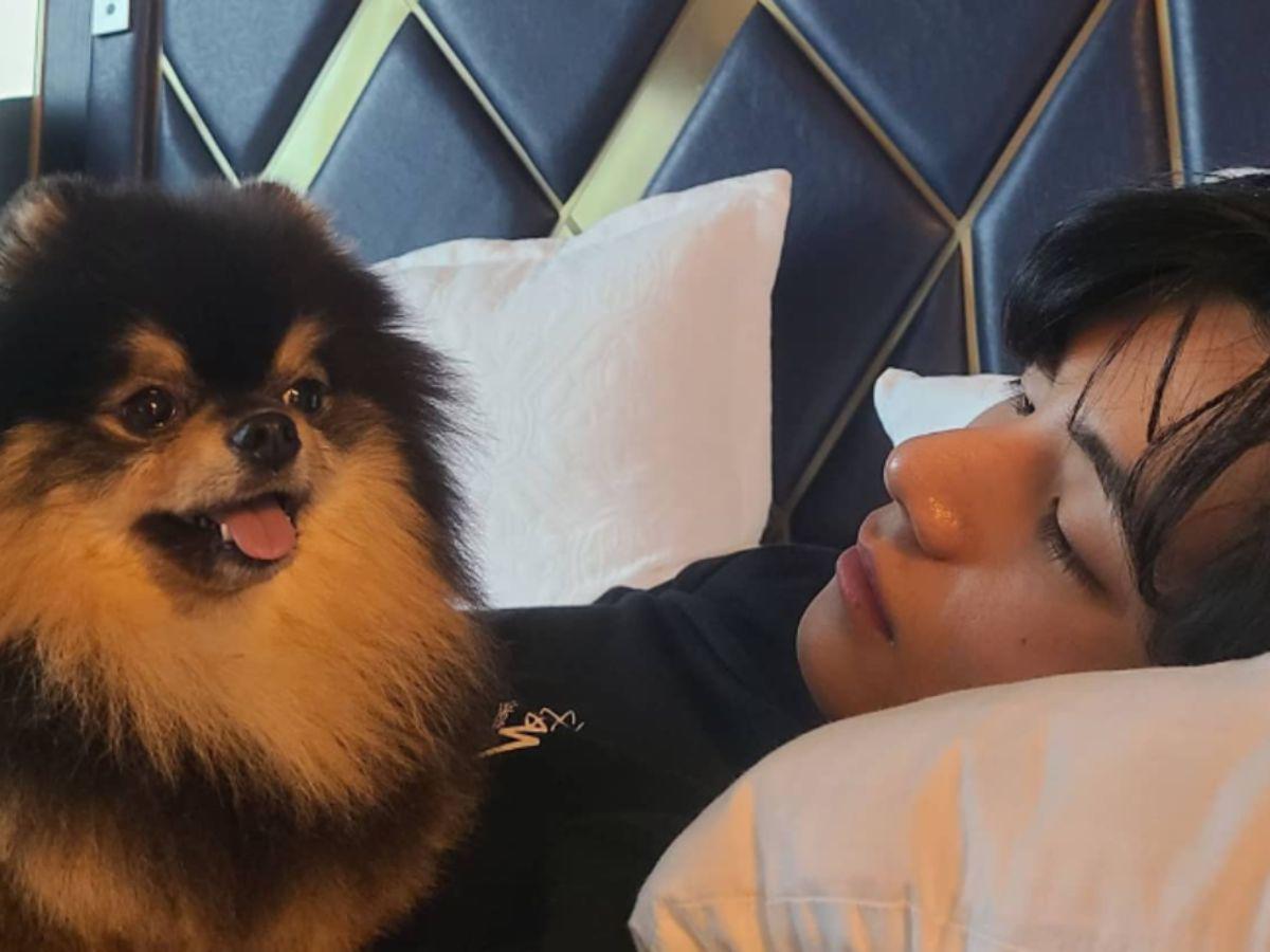 V de BTS se despide de su amigo fiel, Yeontan: “Se embarcó en un viaje hacia las estrellas”