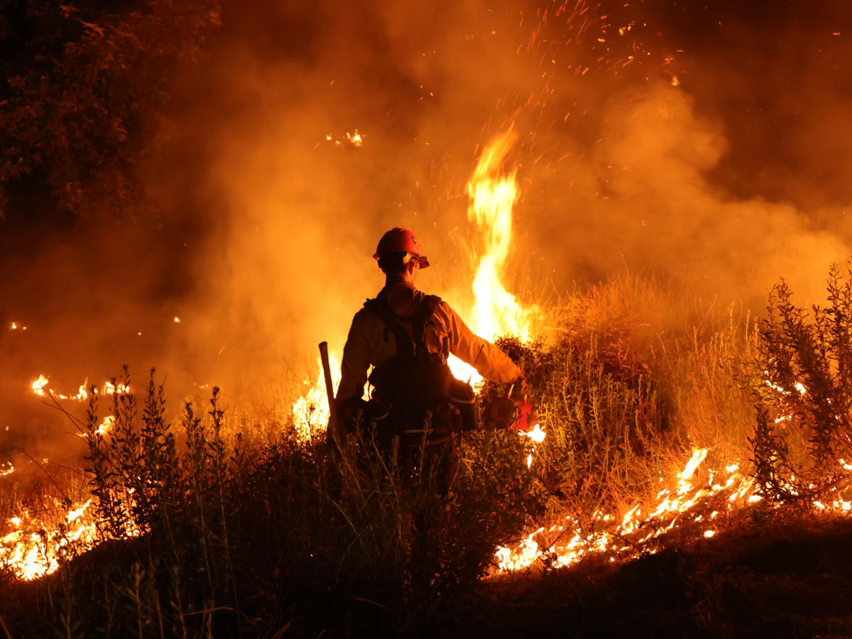 Ola de calor extremo recorre el planeta y provoca incendios forestales