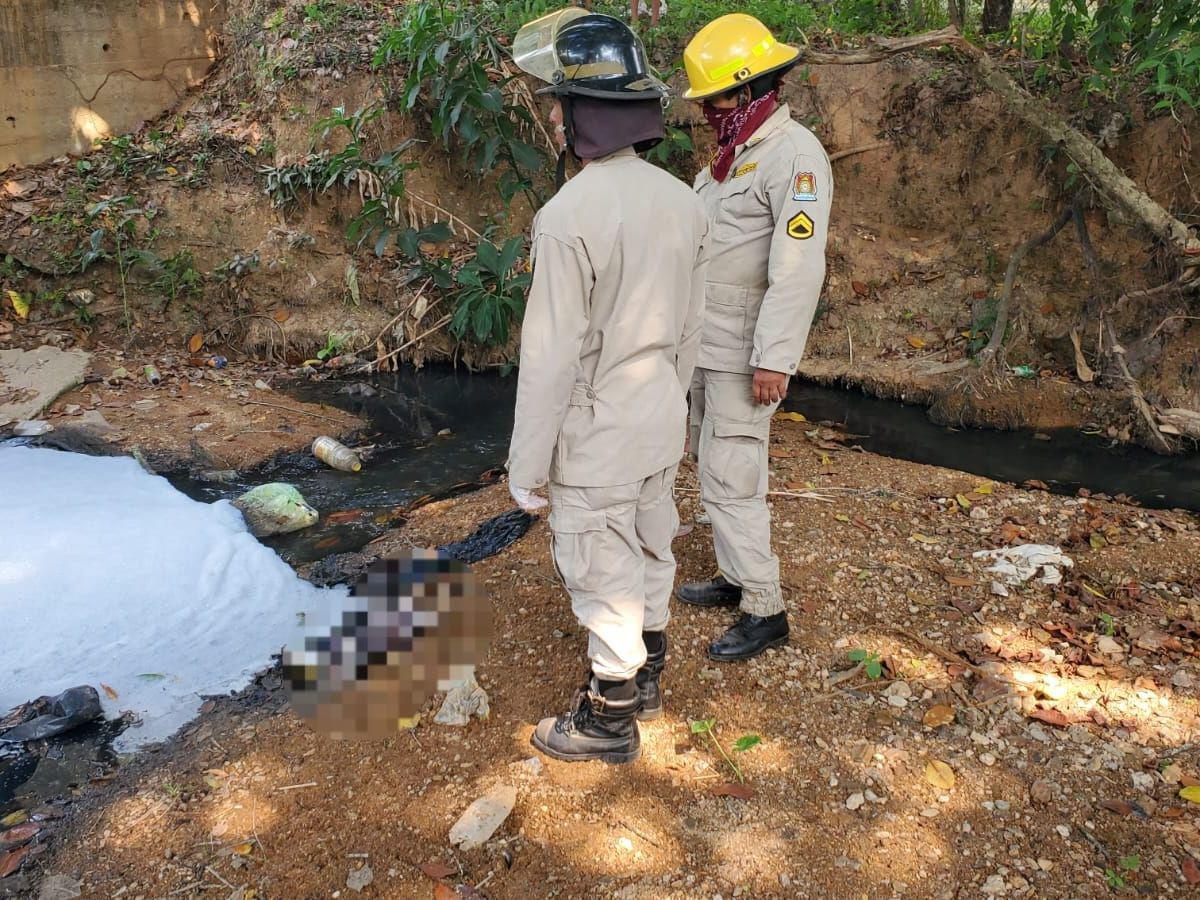 Bebé fue decapitado y lanzado a una quebrada en Campamento, Olancho