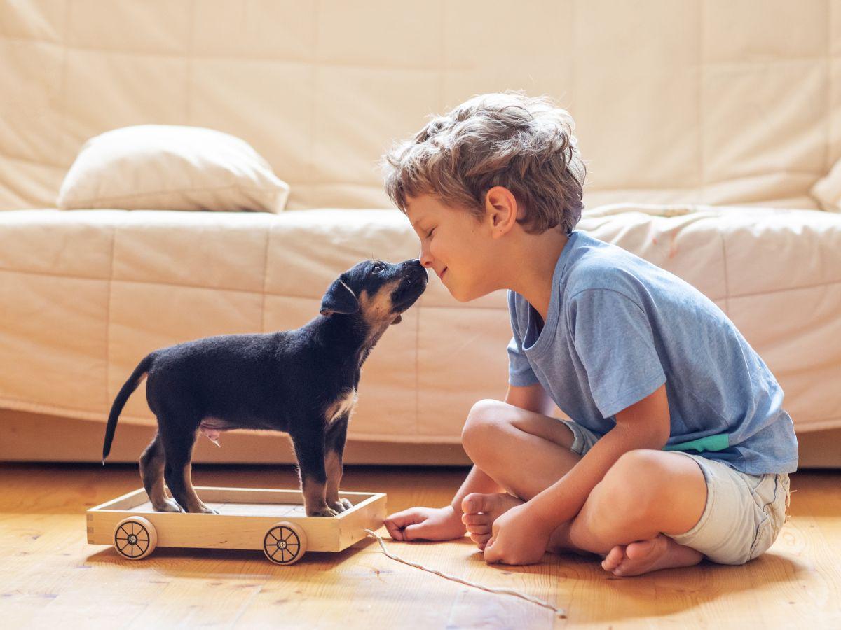 Involucrar a los niños en el cuidado de los animales ayudará a crear lazos fuertes y fomentar el amor entre ellos.