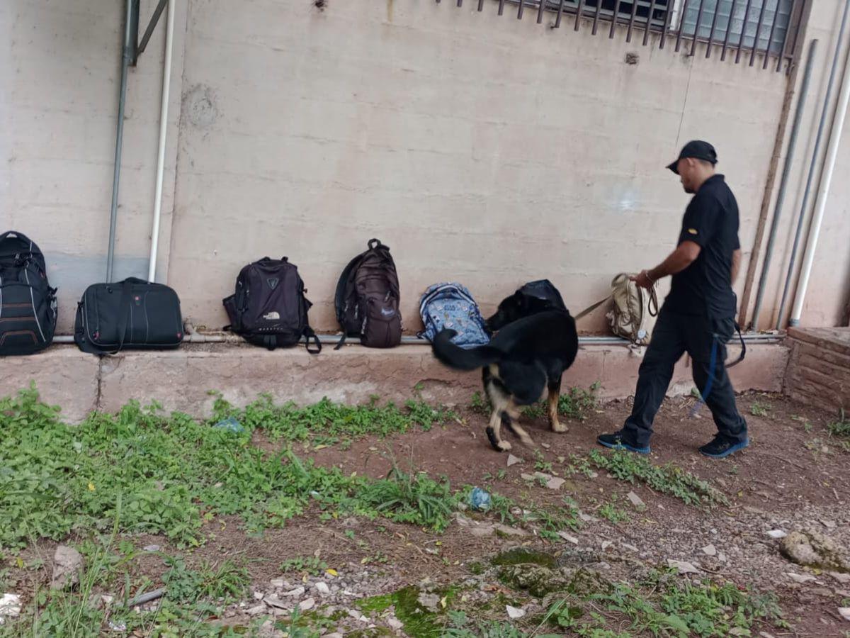 Las mochilas de los estudiantes fueron revisadas por caninos y el Comité de Seguridad.