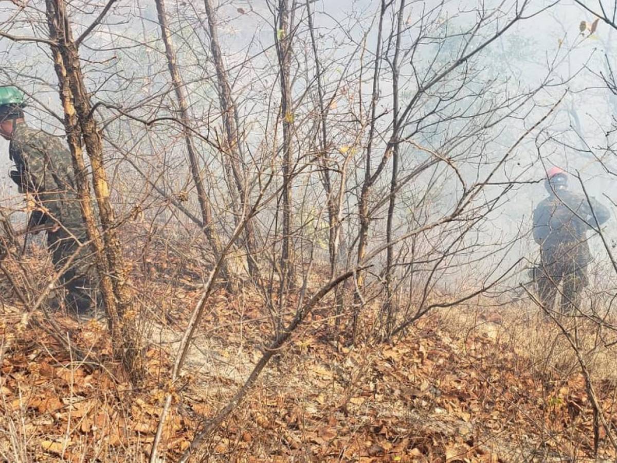 Combaten voraz incendio forestal en cerro El Cimarrón de la capital