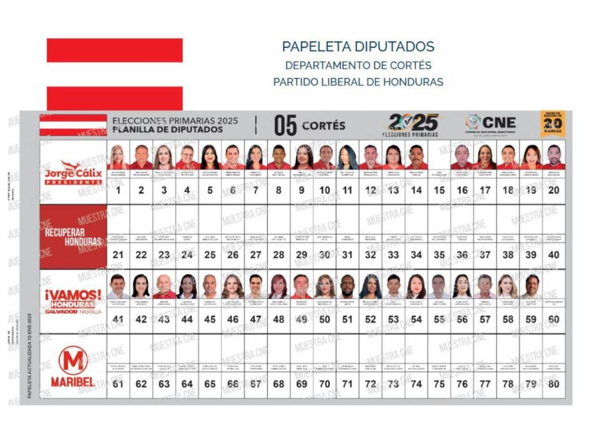 CNE muestra cómo lucen las papeletas para las elecciones primarias