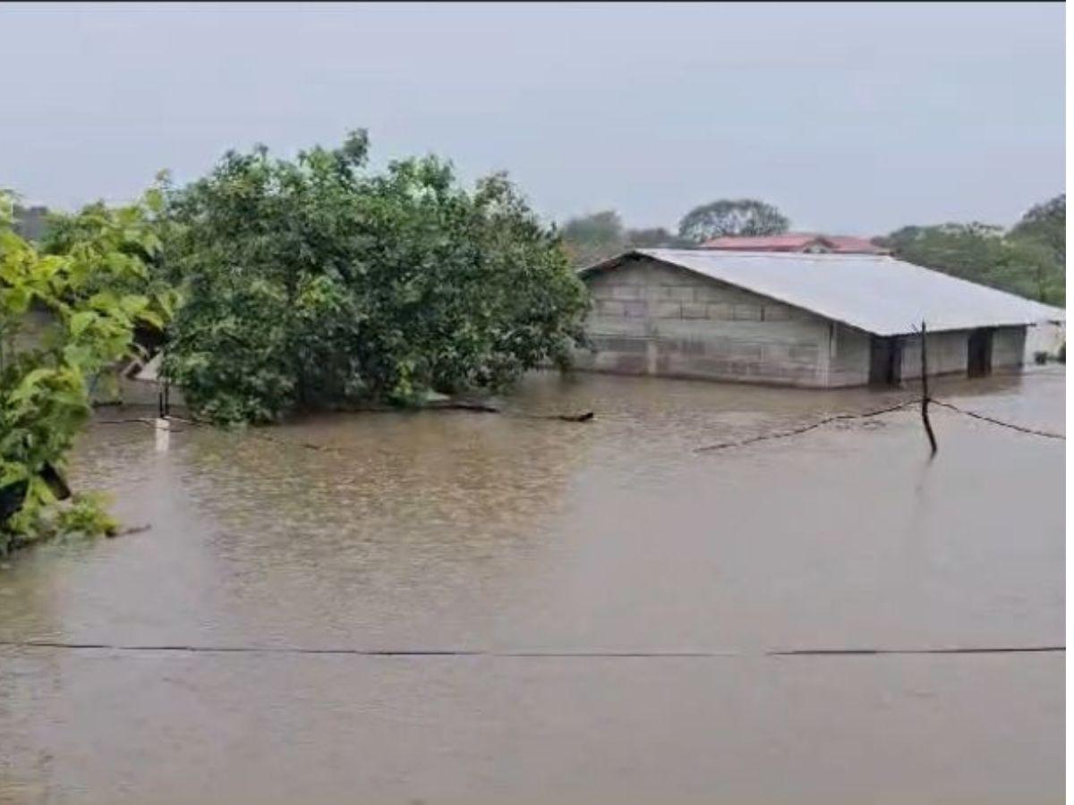 Politizan ayudas en Alianza, mientras afectados pierden sus viviendas por las lluvias