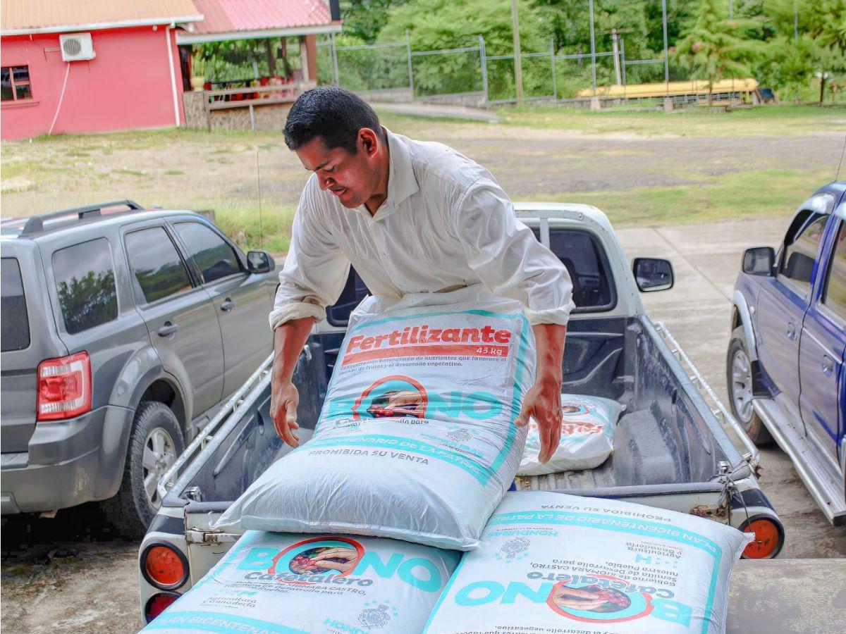 Más de 100 mil productores se beneficiarán con el bono cafetalero