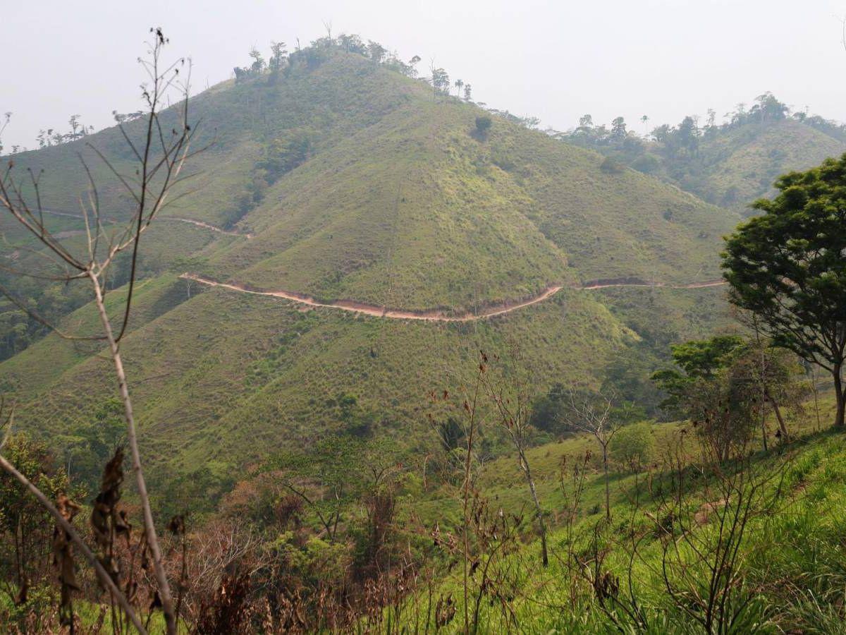 Piden eliminar narcocarreteras en la Reserva de la Biósfera del Río Plátano