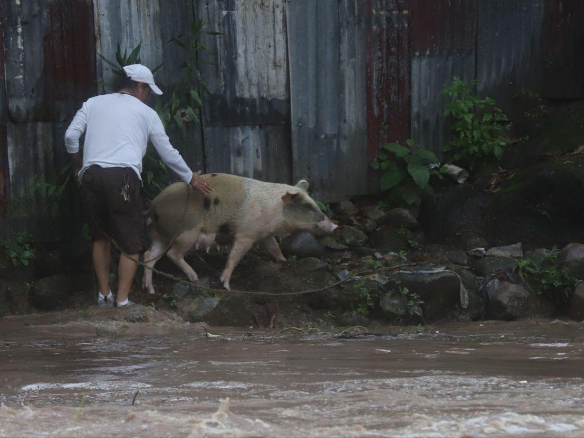 El pueblo ayuda al pueblo: lamentable situación en el río San José