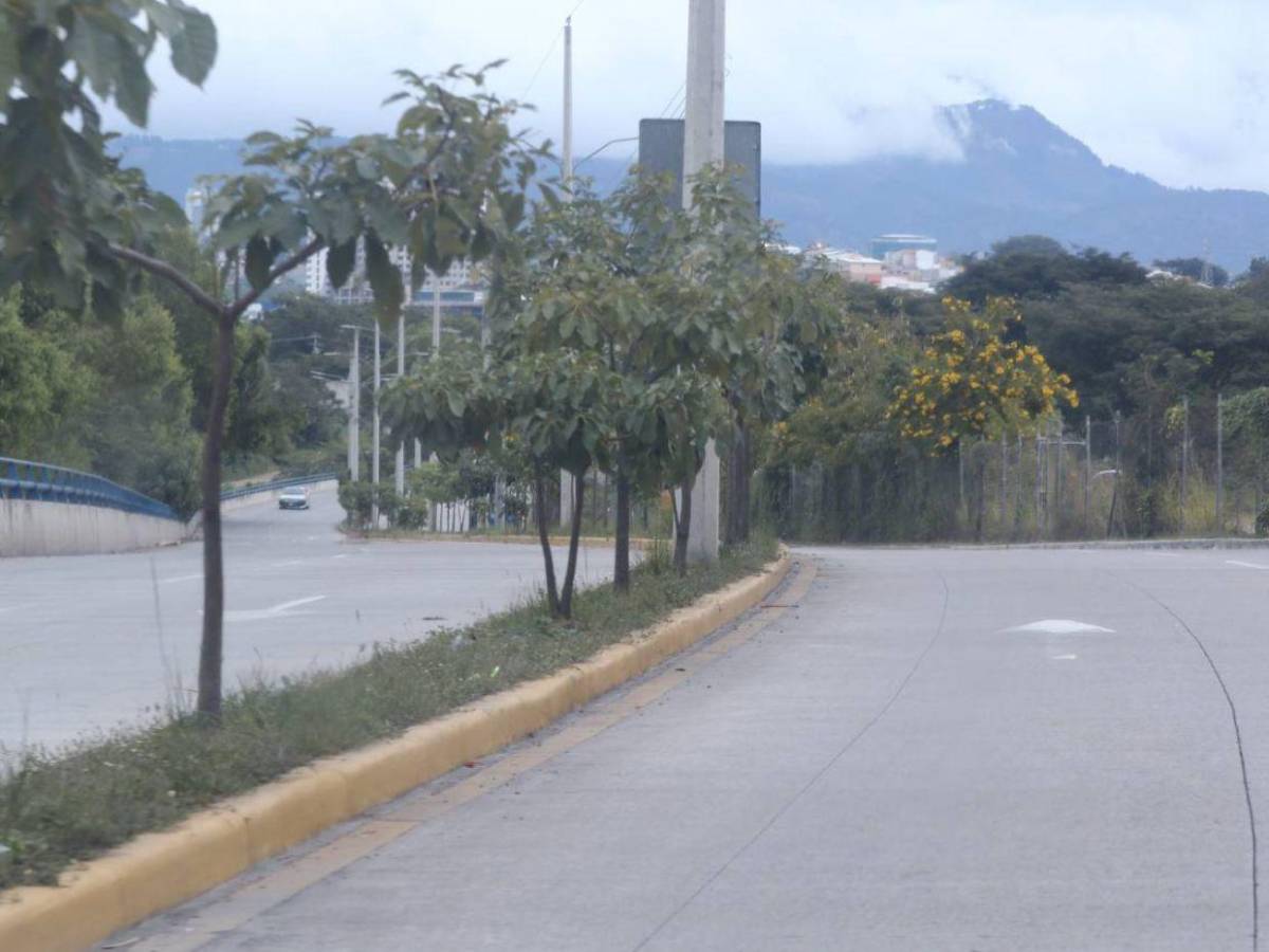 Desiertas lucen las calles del Distrito Central este 25 de diciembre