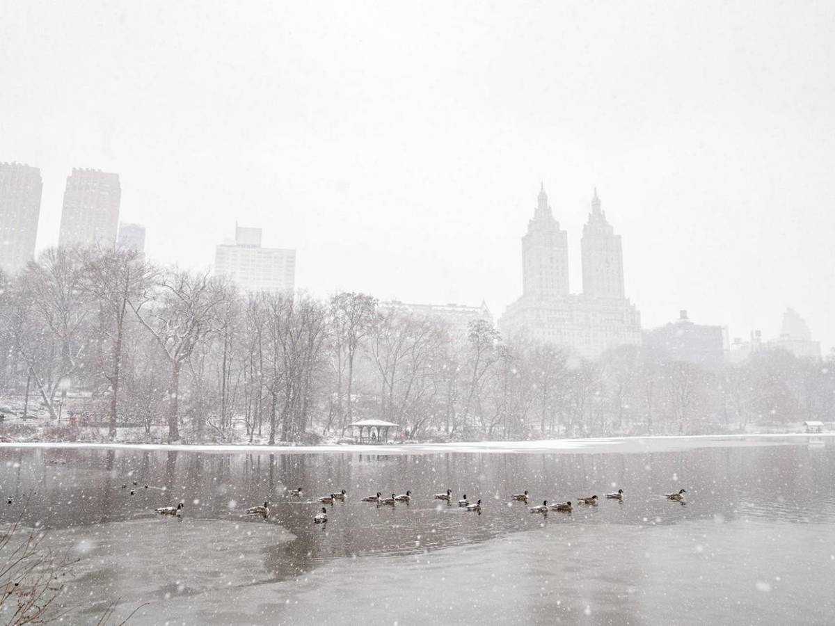 Tormenta de nieve en EUA deja impresionantes imágenes en Nueva York