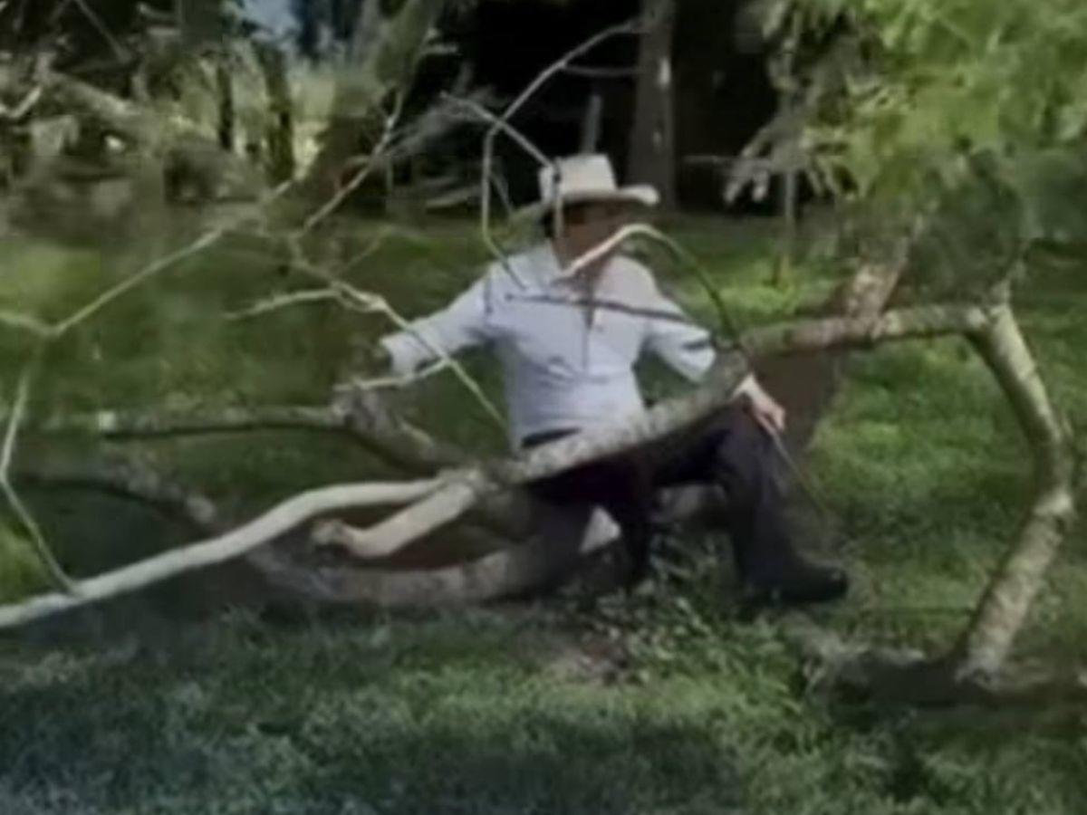 ¡En plena calma! Captan al expresidente ‘Mel’ Zelaya meciéndose en la rama de un árbol