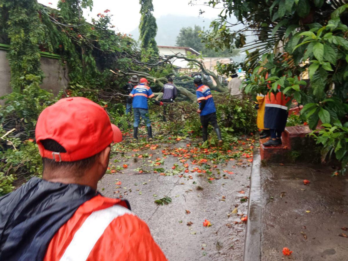 Tormenta Sara deja deslizamientos y colapso de muros en Tegucigalpa