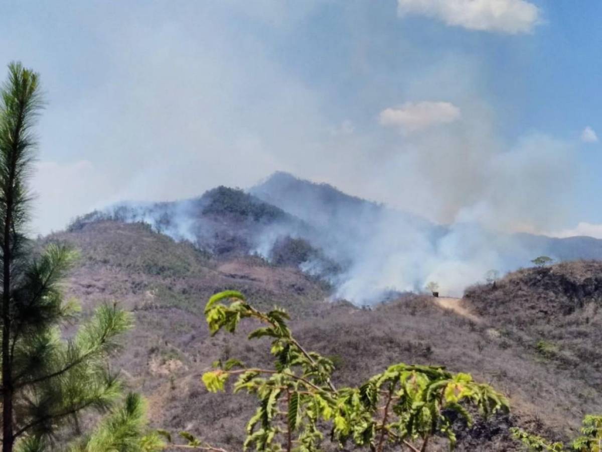 Combaten voraz incendio forestal en cerro El Cimarrón de la capital