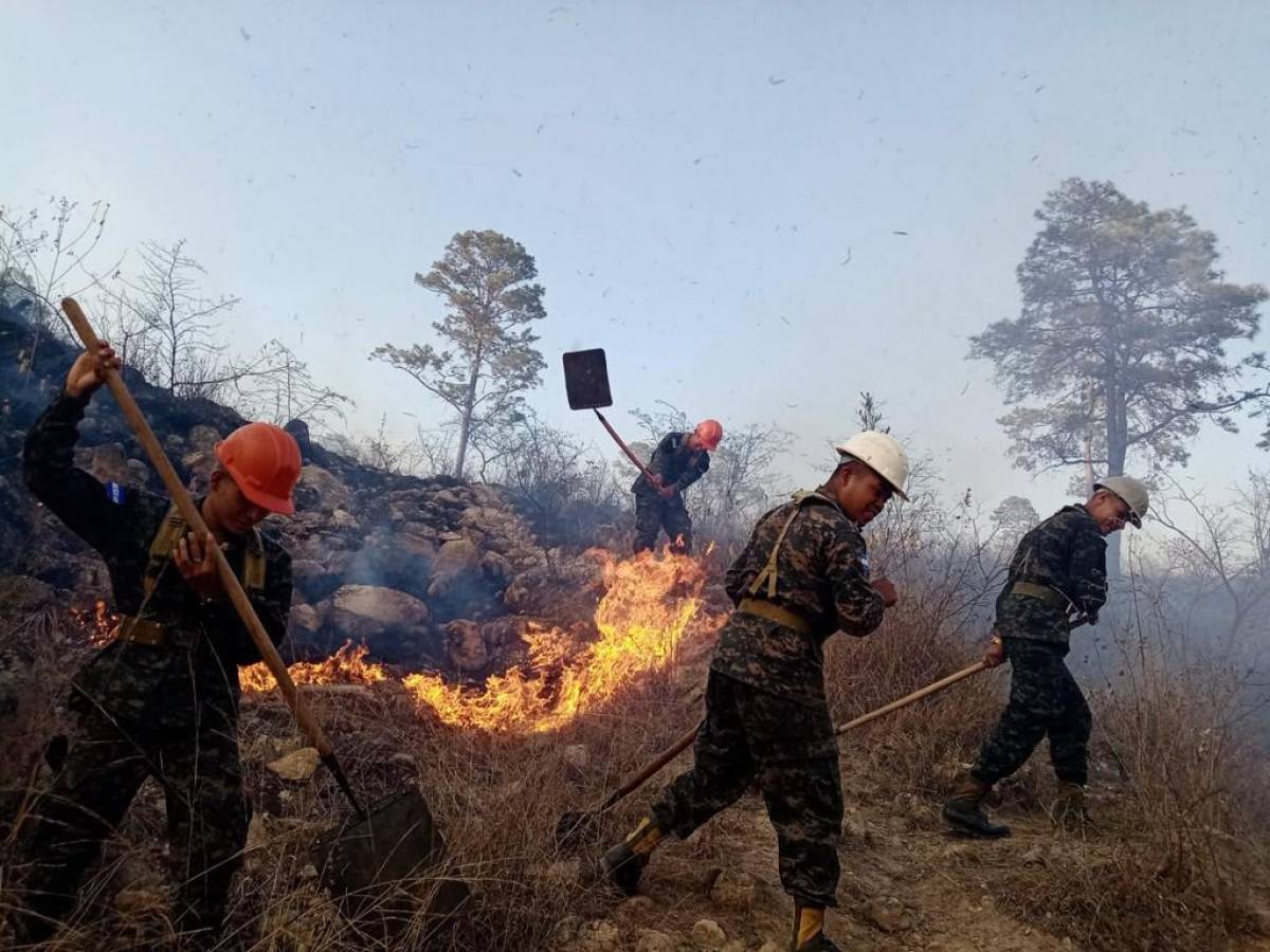 Combaten voraz incendio forestal en cerro El Cimarrón de la capital