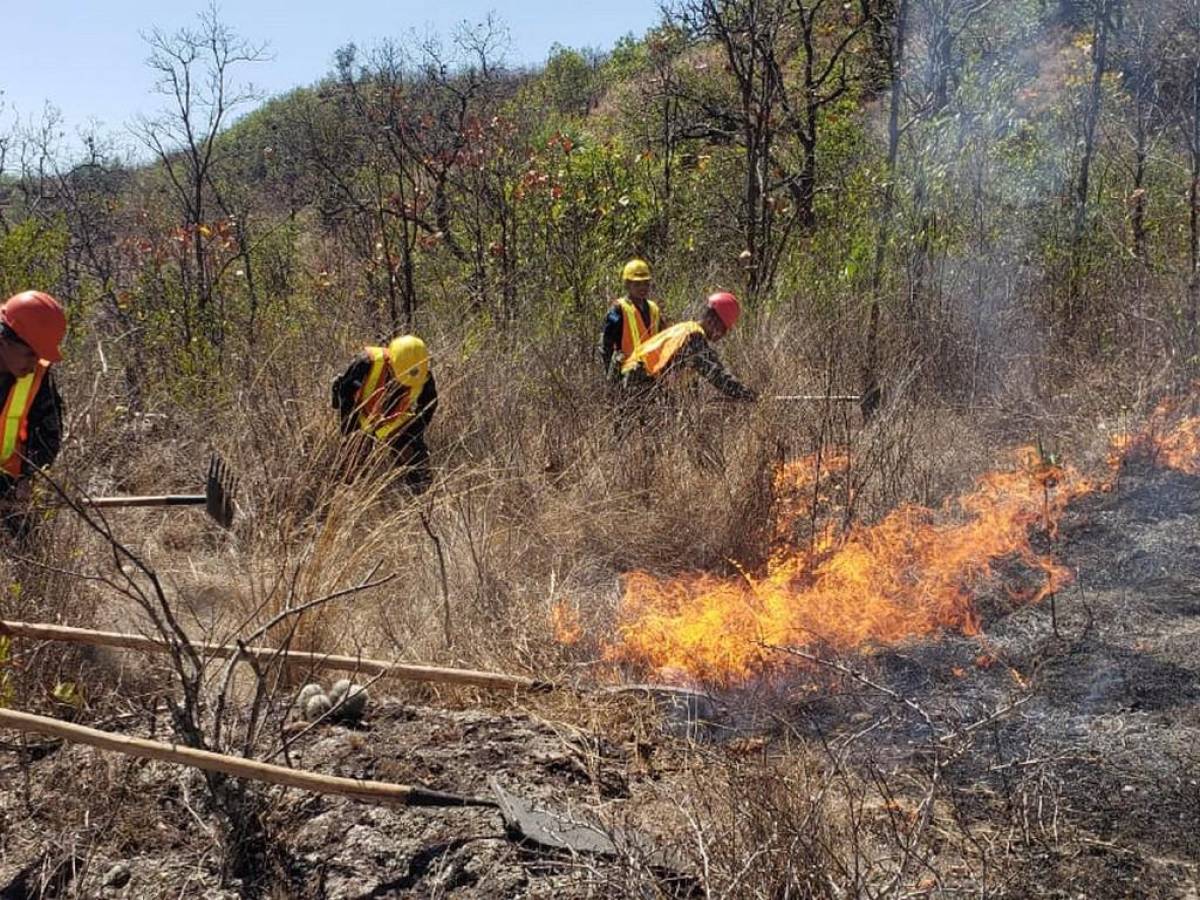 Combaten voraz incendio forestal en cerro El Cimarrón de la capital