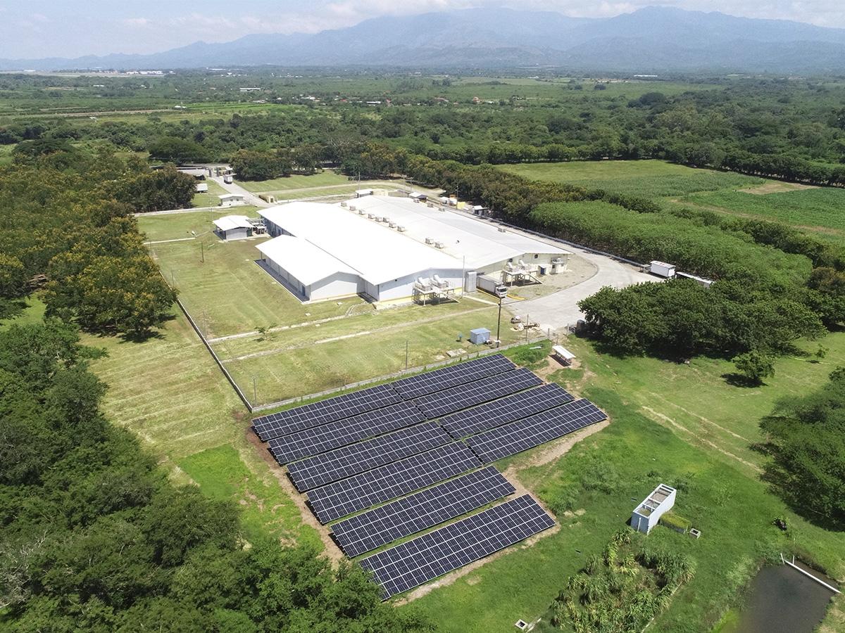 CMI instala más de 3,000 paneles solares en operaciones avícolas